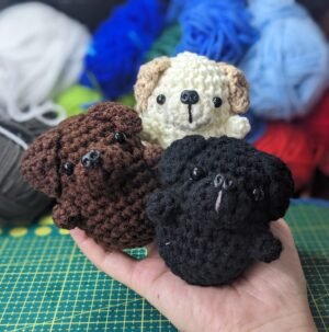 Labrador