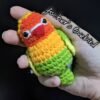 Green Fischer's Lovebird