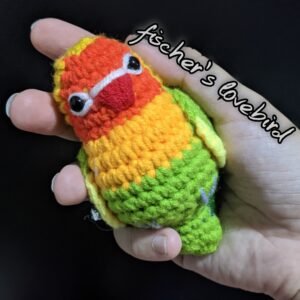 Green Fischer's Lovebird