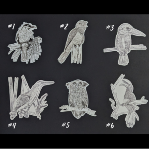 Hand-drawn Bird Stickers
