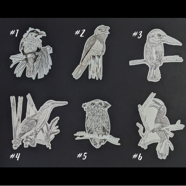#1 Hand-drawn Bird Stickers