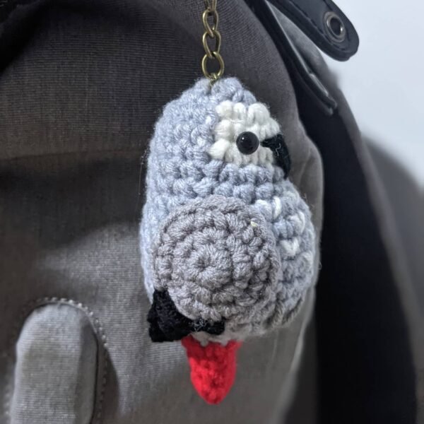 Congo African Grey