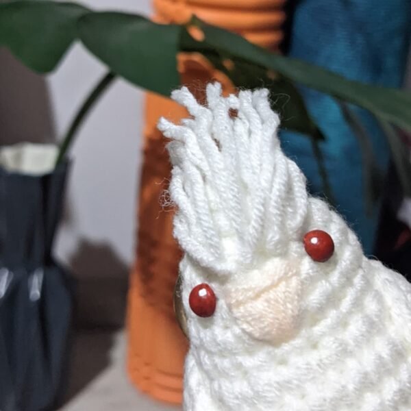 Albino Cockatiel