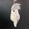 Cinnamon Pearl Cockatiel