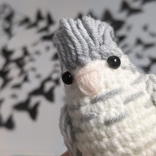 Cinnamon Pearl Cockatiel