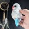 Albino Quaker