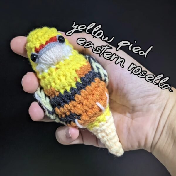 Yellow Pied Eastern Rosella