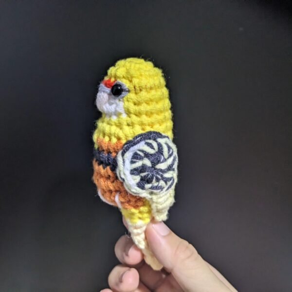 Yellow Pied Eastern Rosella