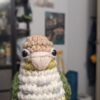 Cinnamon Turquoise Conure