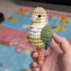 Cinnamon Turquoise Conure
