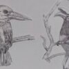 IMG_20260204_001633 Hand-drawn Bird Stickers