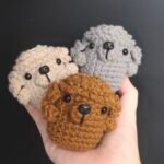 Poodle