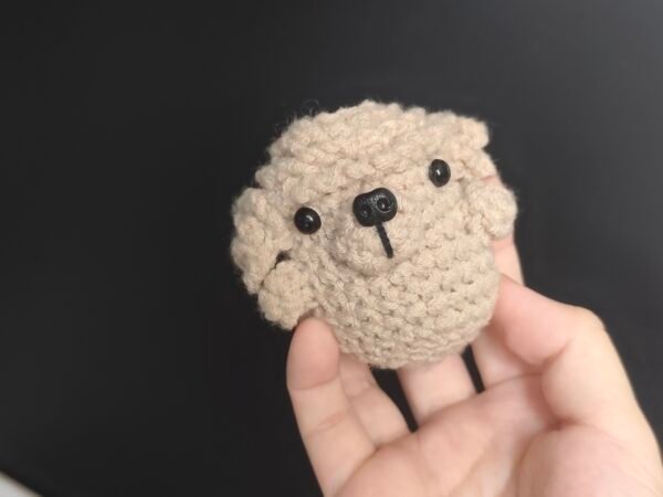 Poodle