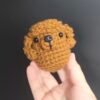 Poodle