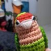 Peach-faced Lovebird