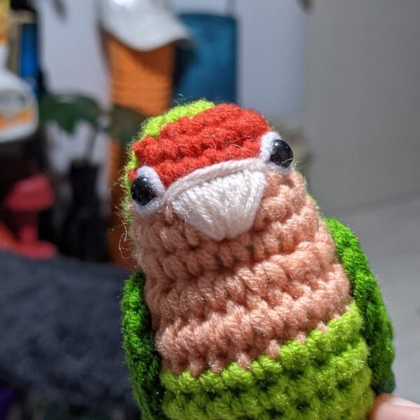 Peach-faced Lovebird