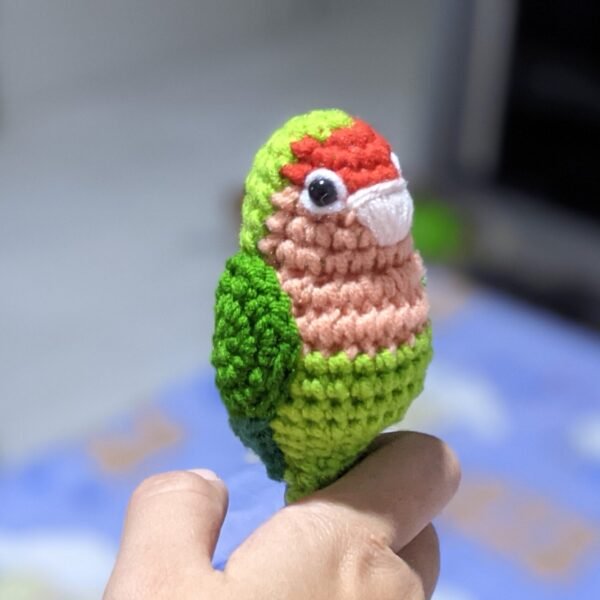 Peach-faced Lovebird