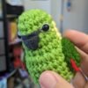 Yellow-naped Amazon