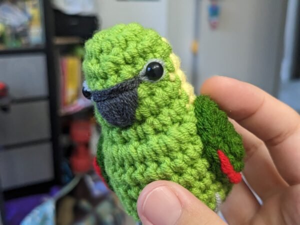 Yellow-naped Amazon