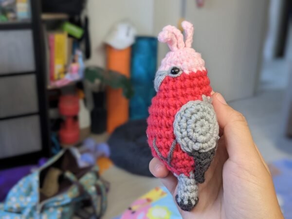 Galah Cockatoo