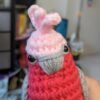 Galah Cockatoo