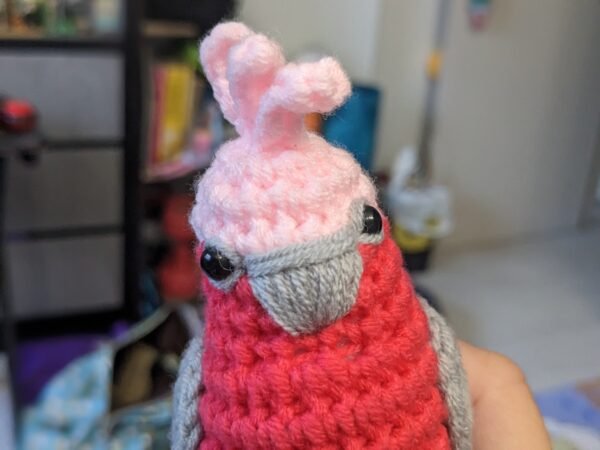 Galah Cockatoo