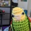 Yellow-headed Amazon