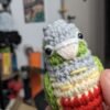 Pineapple Conure