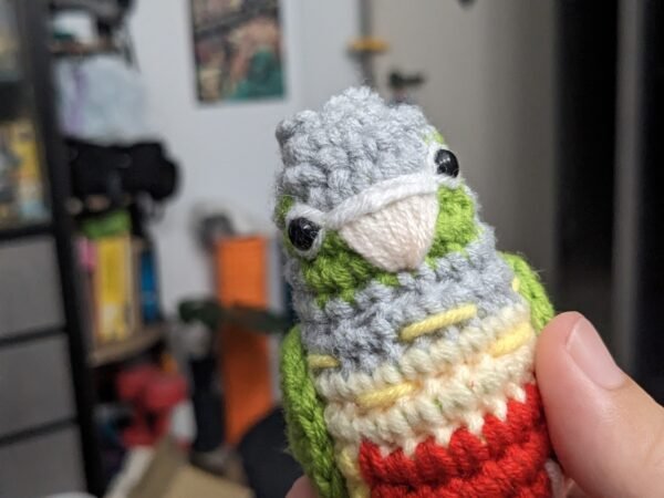 Pineapple Conure