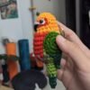 Jenday Conure