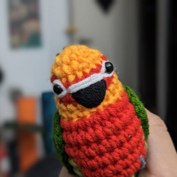 Jenday Conure