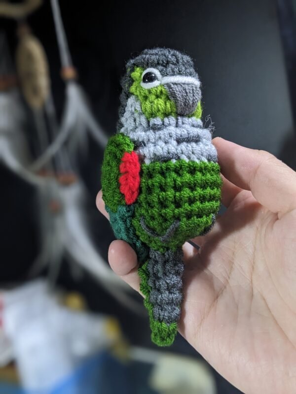 Opaline Black-capped Conure