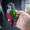 Crimson-bellied Conure