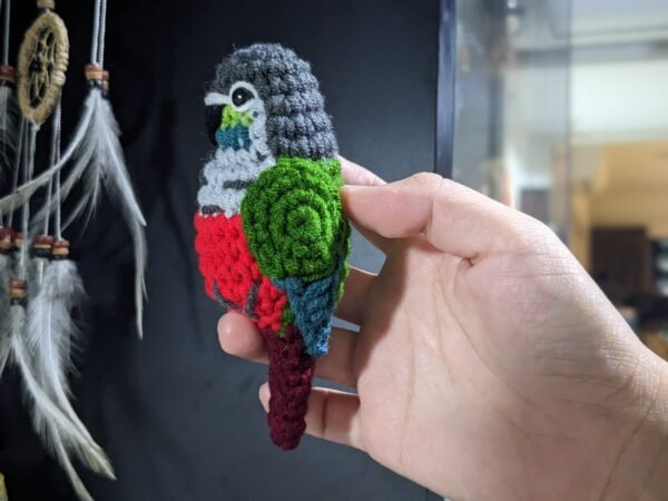 Crimson-bellied Conure