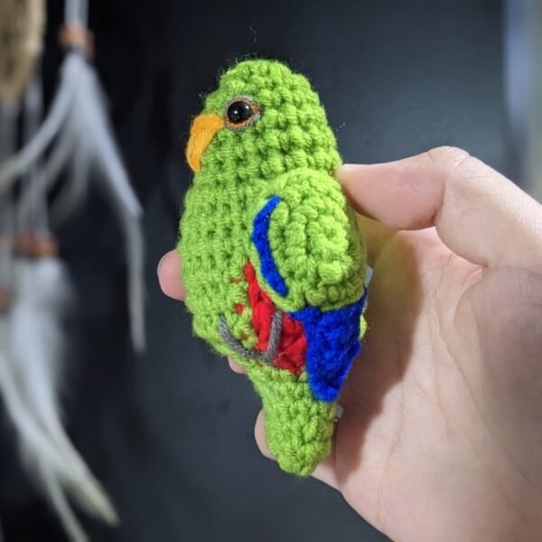 Green Male Eclectus