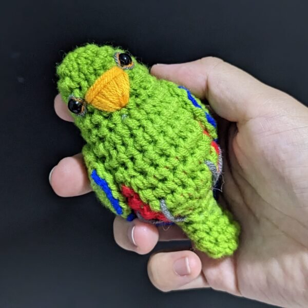 Green Male Eclectus