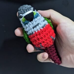 Crimson-bellied Conure