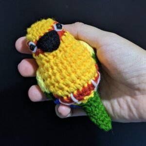 Sun Conure