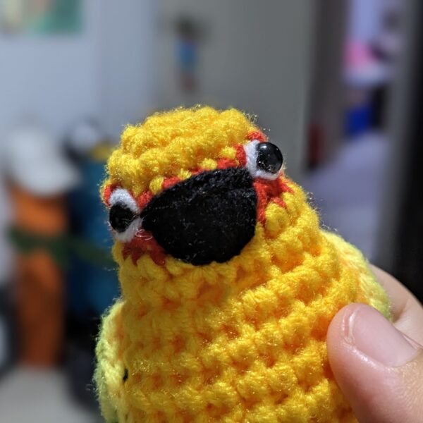 Sun Conure