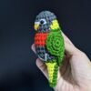 Sunset Lorikeet