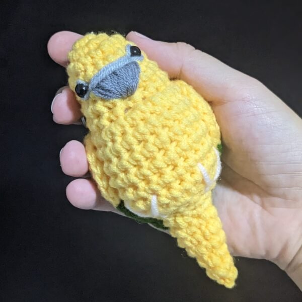 Golden Conure