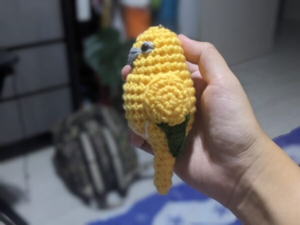 Golden Conure