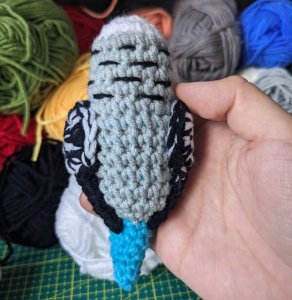 Blue Budgie