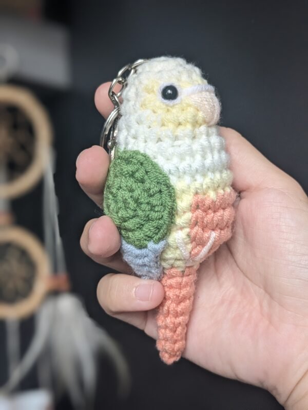 Moon Cheek Conure