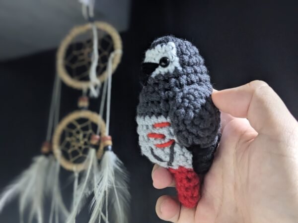 Timneh African Grey