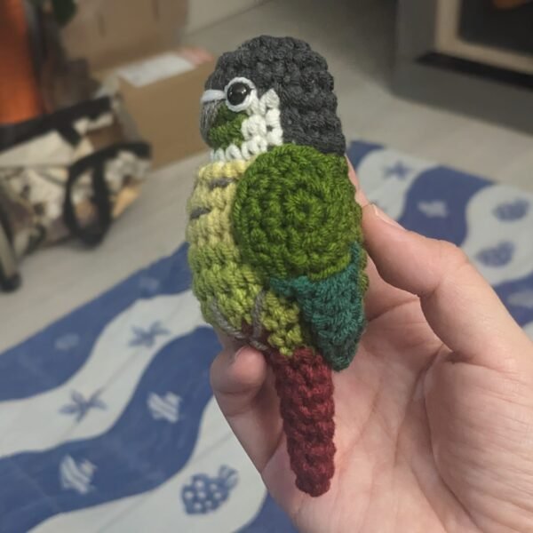 Green-cheeked Conure (Dark)