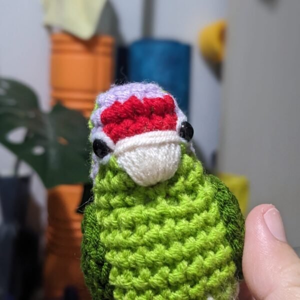Lilac-crowned Amazon