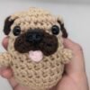 PXL_20250216_142521477.PORTRAIT Pug