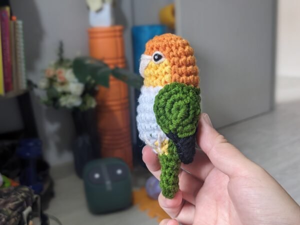 White-bellied Caique