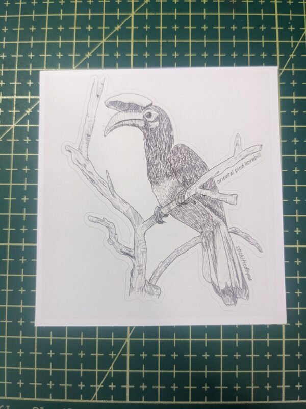 PXL_20251109_101006628 Hand-drawn Bird Stickers